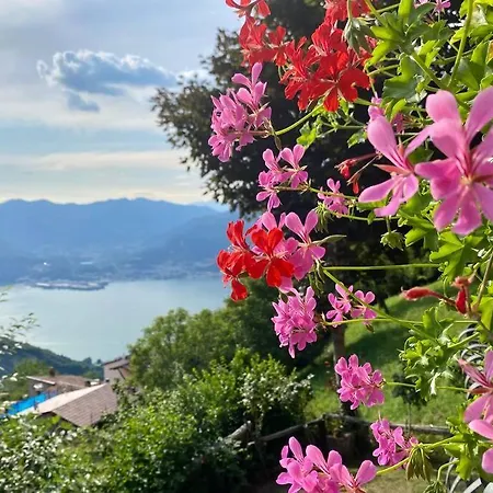 Tatil Evi Il Pettirosso. *