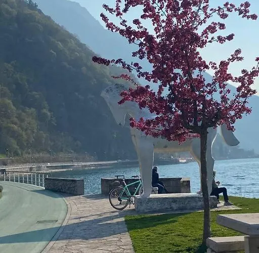 Tatil Evi Il Pettirosso. Pisogne