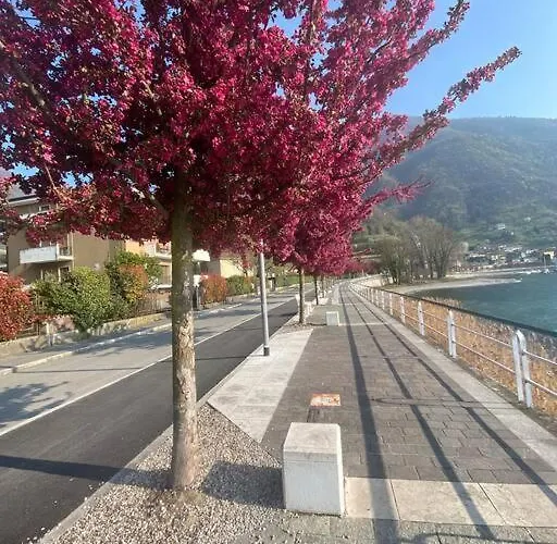 Tatil Evi Il Pettirosso. *