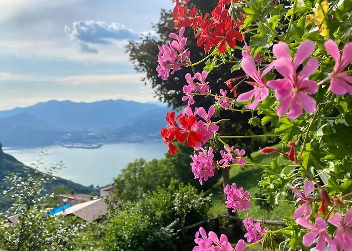 Tatil Evi Il Pettirosso. *